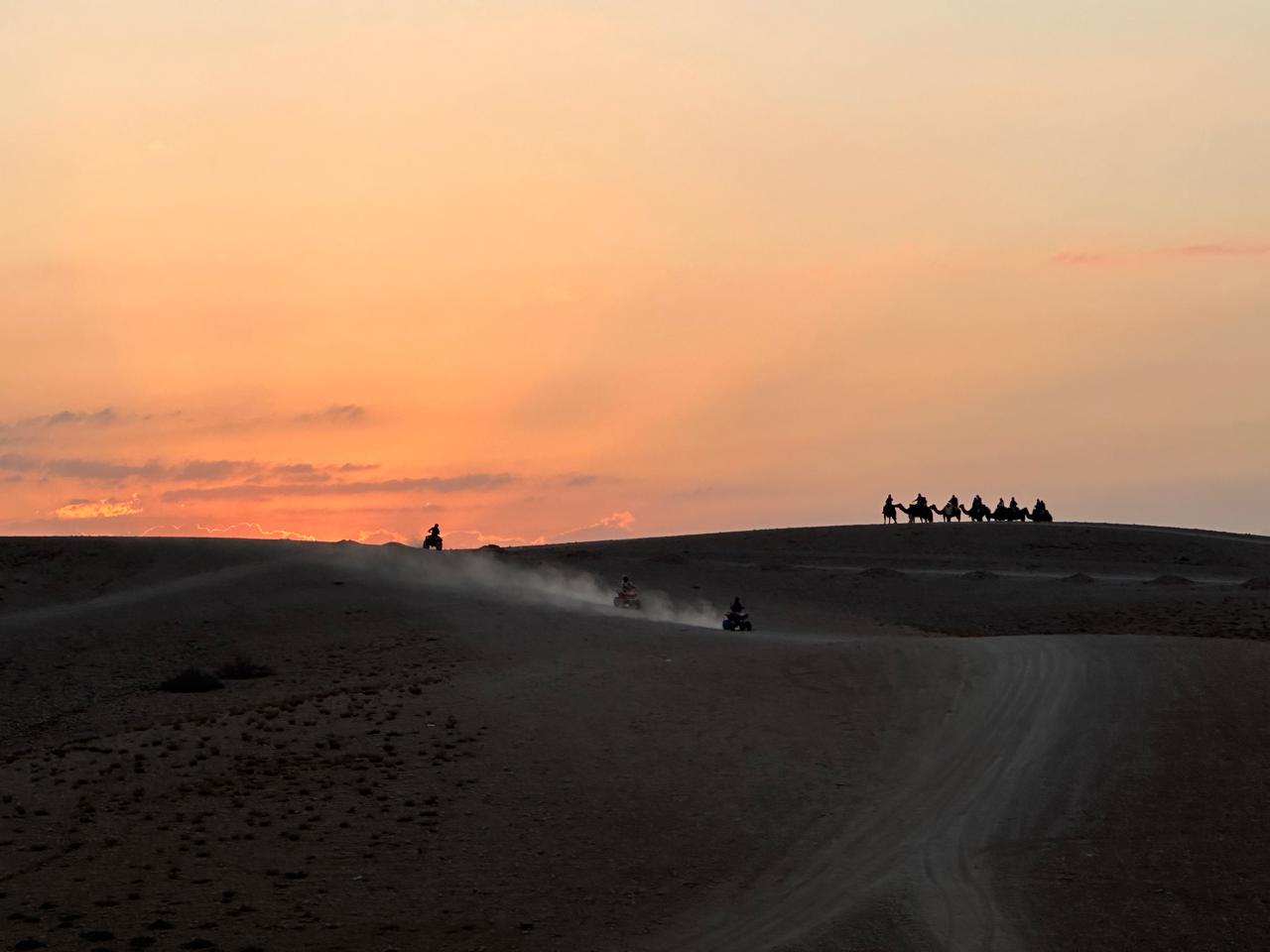 Balade à dos de dromadaire au désert d’Agafay : une expérience authentique près de Marrakech
